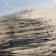 Image for article titled Major Oil Spill Off the Coast of Southern California Has 'Dolphins Swimming Thru the Oil'